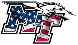 MT Veterans Salute logo