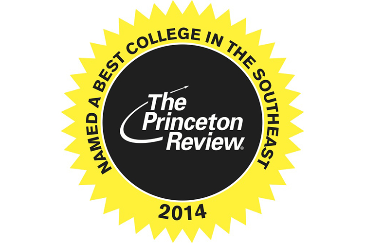 Princeton Review 2014 graphic