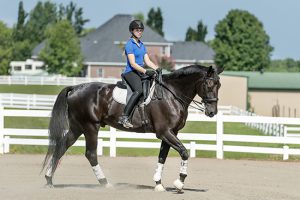 Meghan Miller and her horse Remington preparing to train for a national dressage competition.