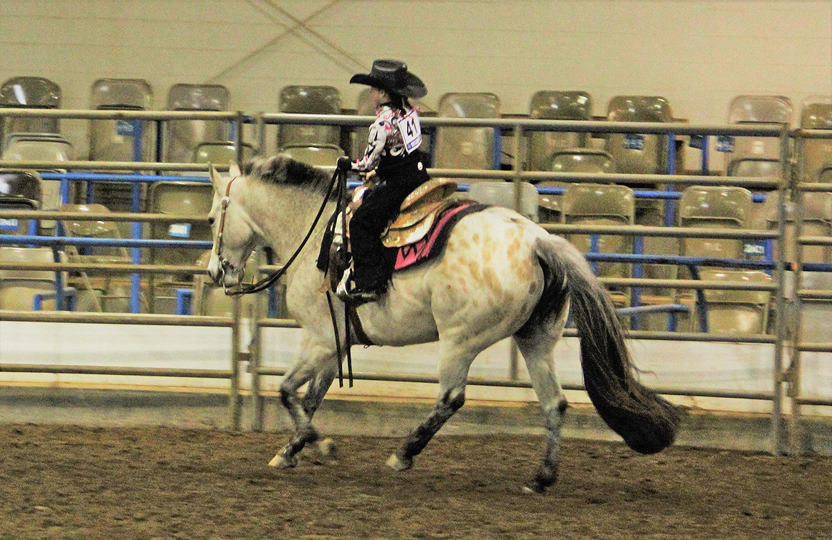 A rider competes in a past CERV Spring Spectacular Horse Show. The April 7 event at the Tennessee Livestock Center benefits the Center of Equine Recovery for Veterans. 