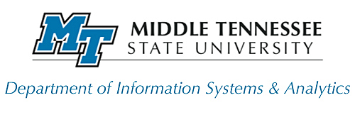 Department of Information Systems and Analytics logo