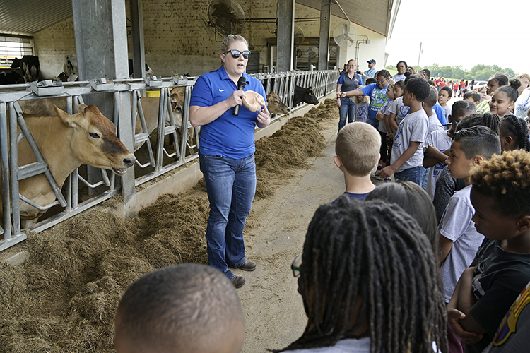 MTSU School of Agriculture professor Maegan Hollis explains the workings of a cow's stomach to third graders from the Murfreesboro City Schools at MTSU's Experiential Learning and Research Center Wednesday, May 8, during the school system's "Day on the Farm" visit to the university's farm in Lascassas, Tenn. The children's trip is part of the school system's "Farm2School" initiative as well as a longstanding educational partnership with MTSU. (MTSU photo by Andy Heidt)