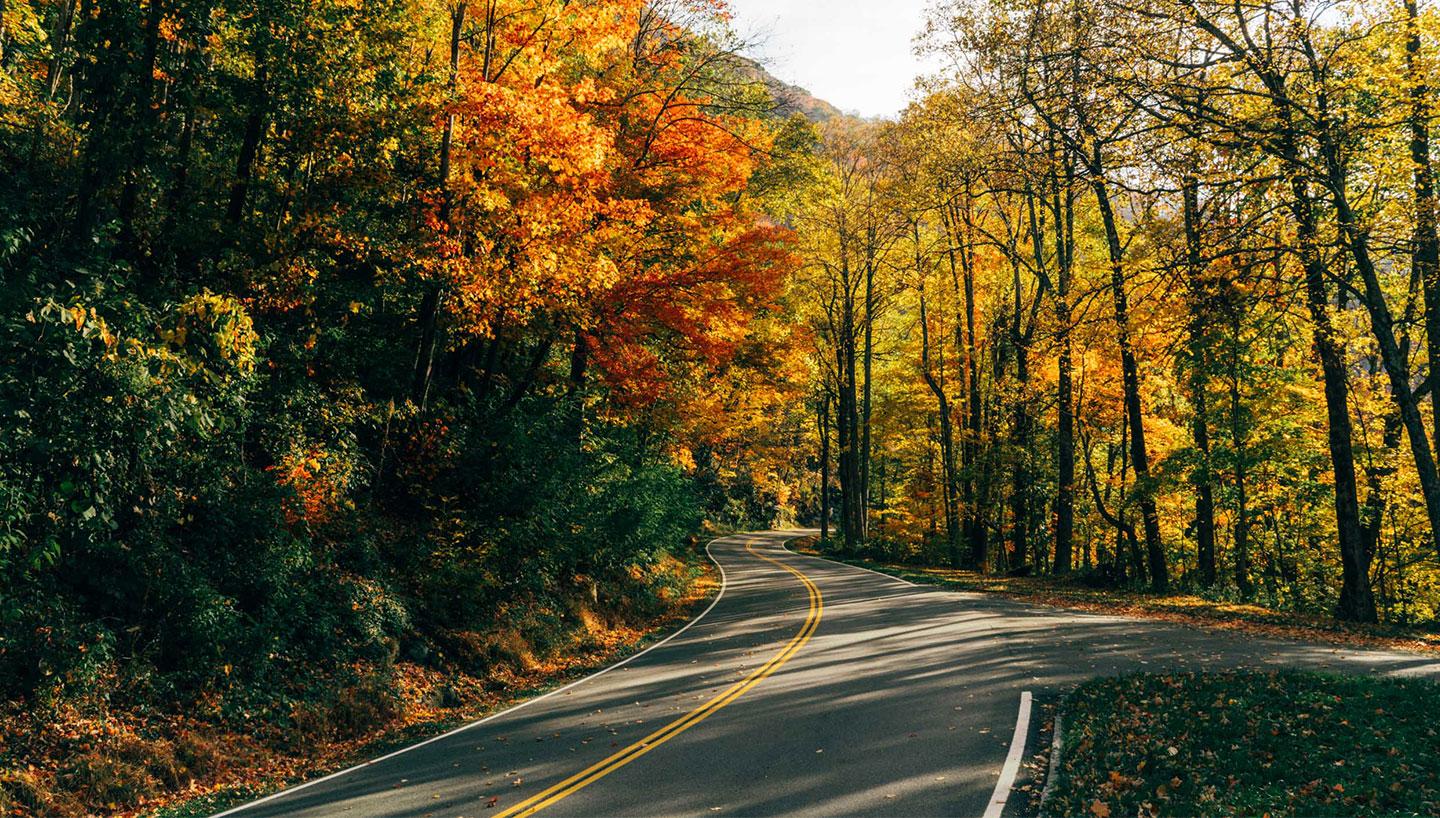 Unique Fall Break Destinations Near MTSU MTSU News