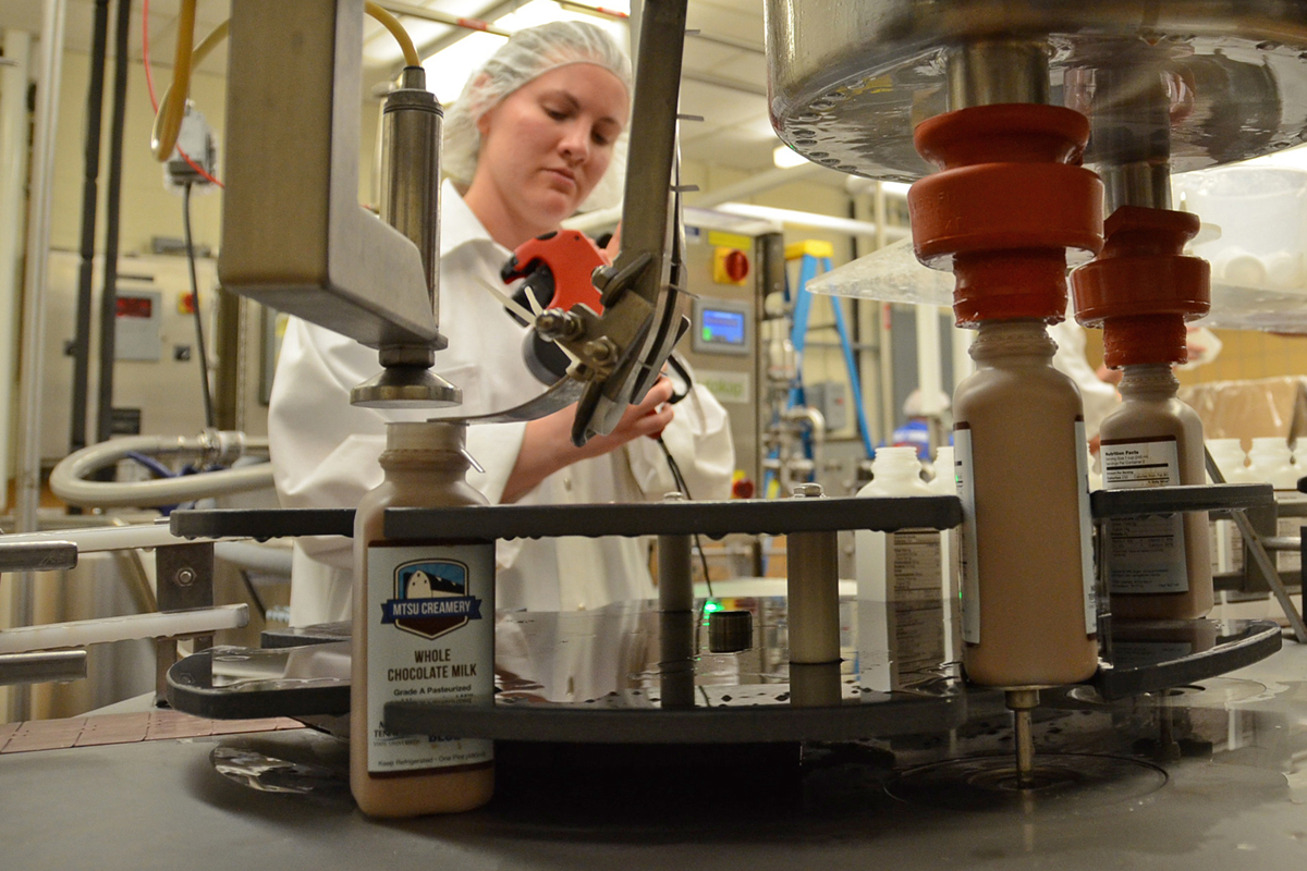 MTSU student worker Chalyce Gammon, a senior special education major from Murfreesboro, Tenn., monitors the chocolate milk bottling machine March 25 at the MTSU milk processing plant inside the Stark Agribusiness Center on campus. (MTSU photo by Jimmy Hart)