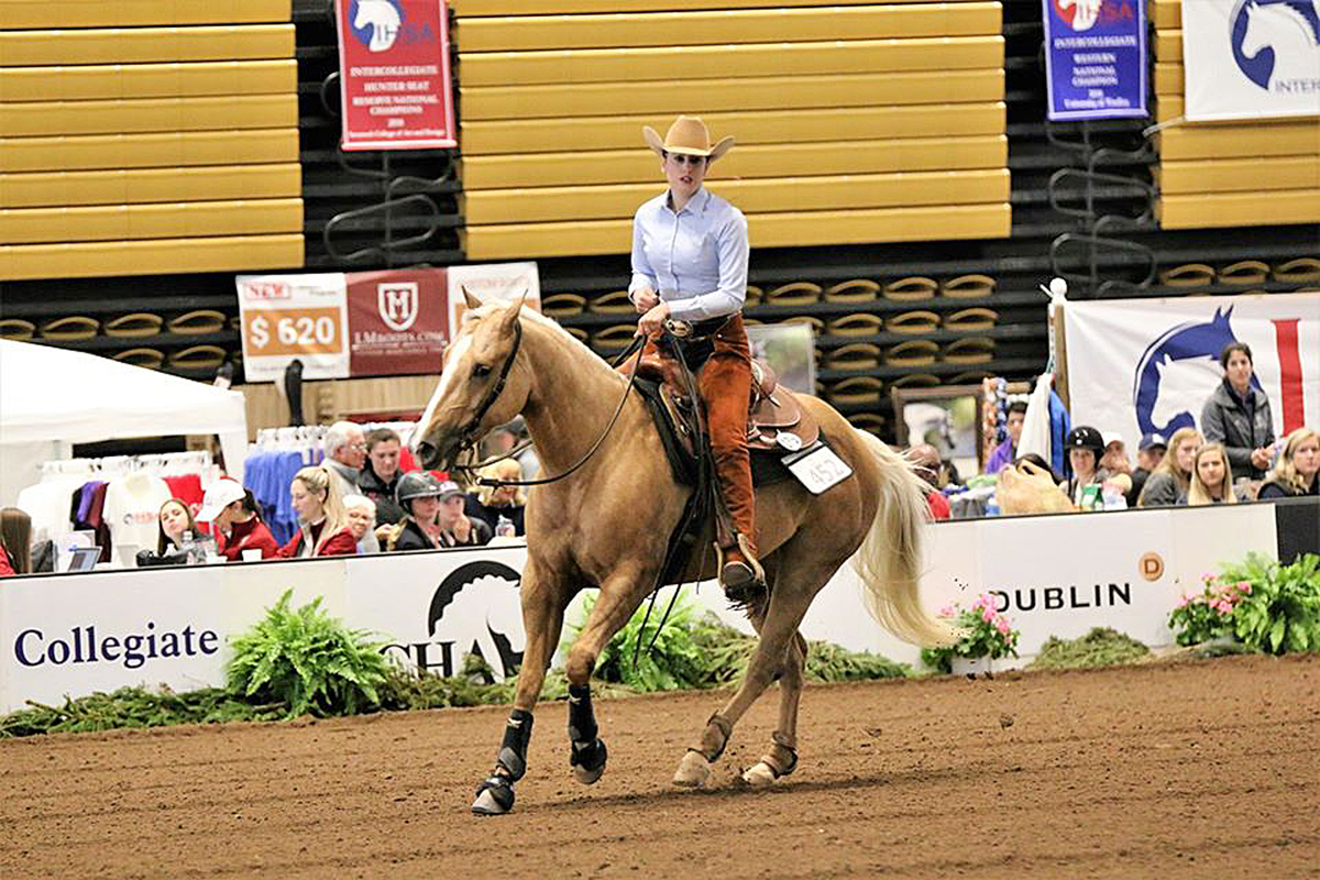 MTSU senior MC Wade of Germantown, Tenn., guides her horse through the paces during a previous equestrian competition. Wade qualified or was selected to compete in postseason events, which were canceled by organizers because of the coronavirus pandemic. (Submitted photo by Mark King)