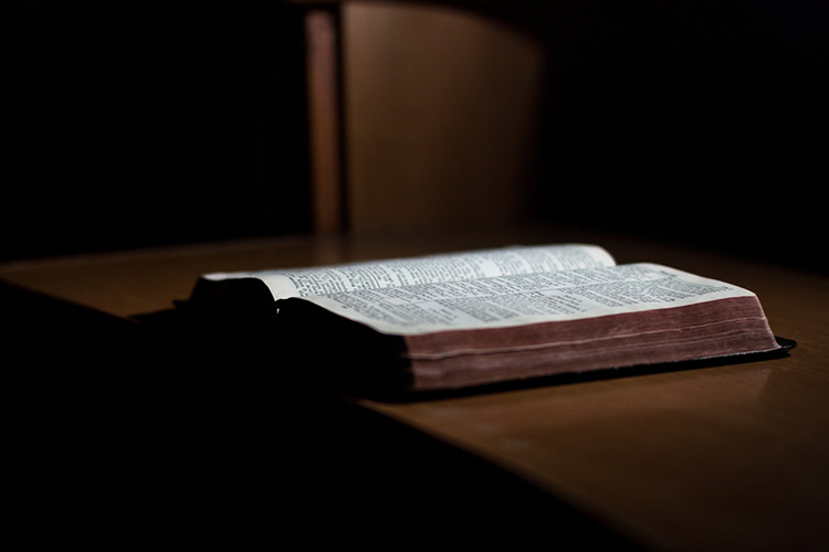 Dr. John Vile’s latest book, “The Bible in American Law and Politics,” is a reference work full of documentary evidence of the Bible’s use in court cases, civil rights movements, education, Congress, legislation and speeches. (Bible photo by John-Mark Smith from Pexels)