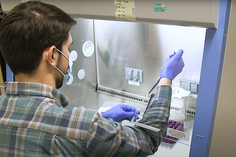 Nathan Smith, a senior biochemistry student at Middle Tennessee State University, conducts research on food safety as part of his work with the university’s Undergraduate Research Experience and Creative Activity grant on campus in November 2020. (MTSU video screen grab)