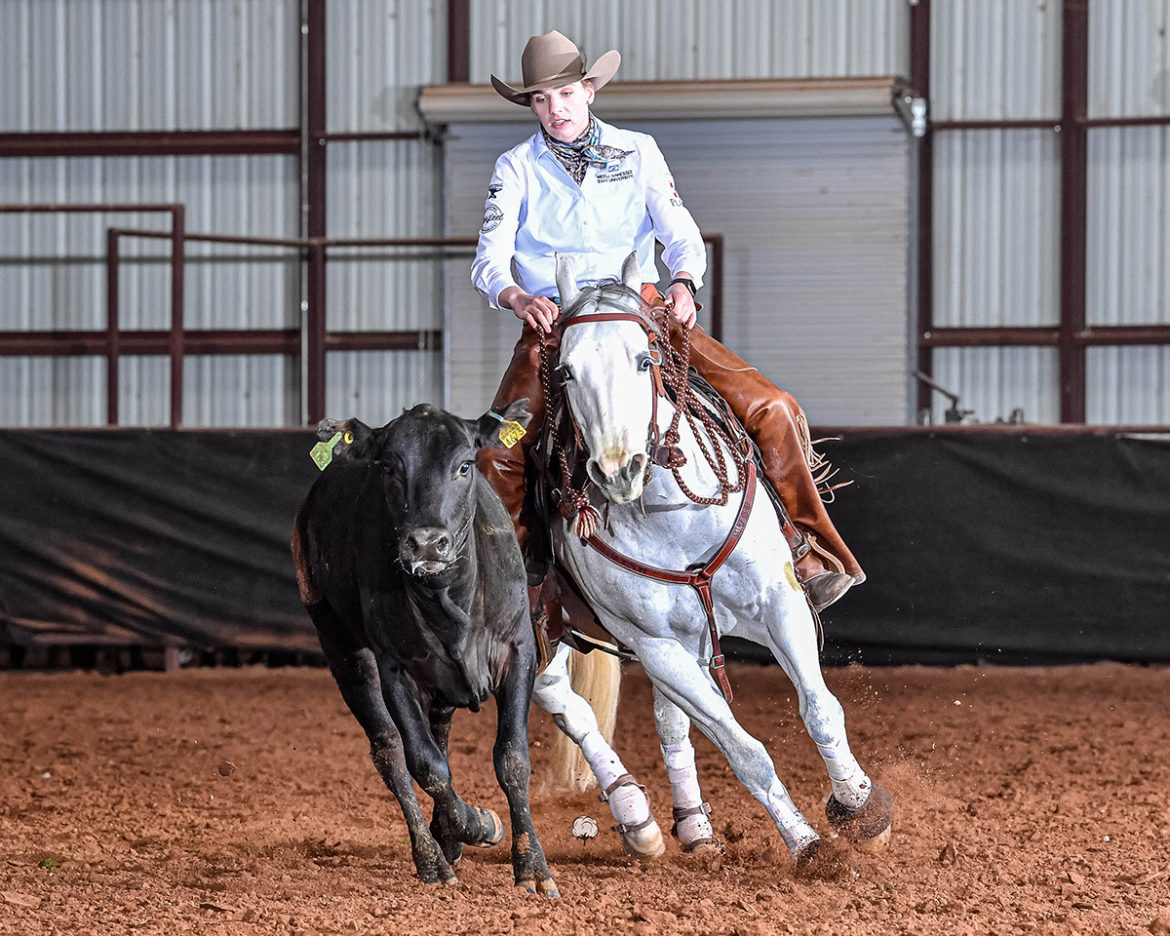 MTSU Raiders ride home with top individual honors at stock horse