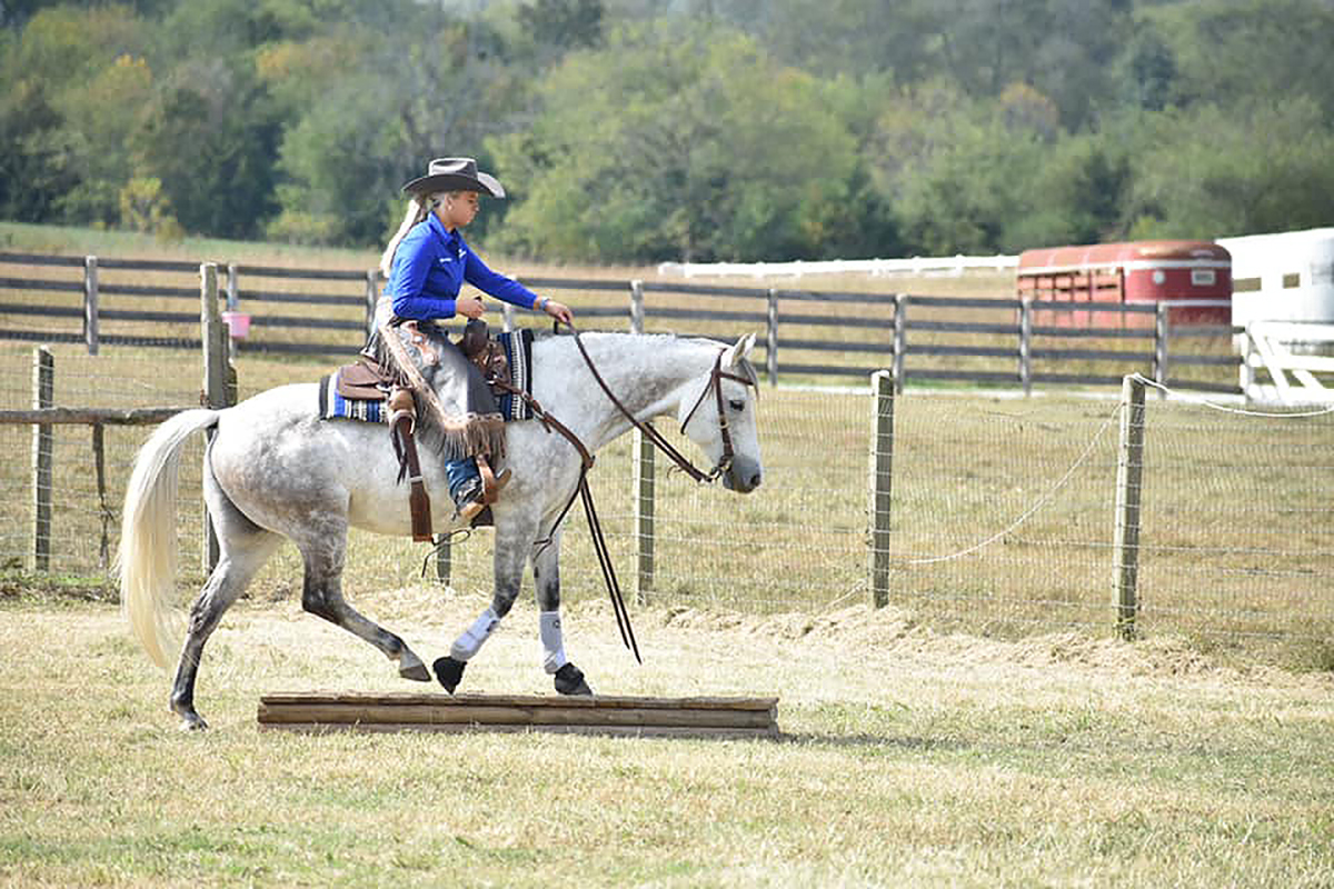 Rachel Petree, a junior horse science major from Maynardville, Tenn., rode Hay Now Sunshine to third place in Novice Cow, fifth place in ASHA Nation Novice Trail and sixth in Nation Collegiate Novice Pleasure + Trail — ranking fourth overall in Nation, Novice, April 16-17 in the Nolan County Coliseum in Sweetwater, Texas. (Submitted photo by Andrea Rego)