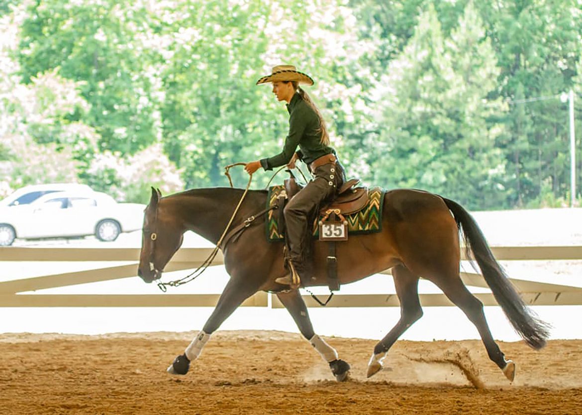 MTSU Raiders ride home with top individual honors at stock horse