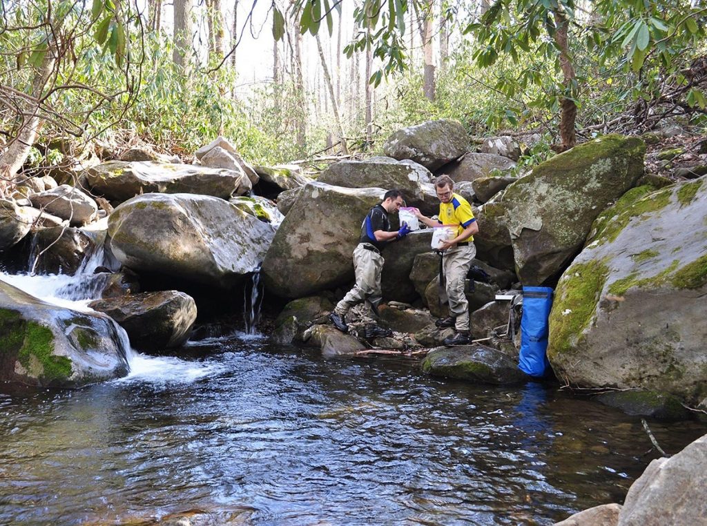 Then-MTSU graduate students Gale Beaubien, left, and Connor Olson conduct riparian spider research at an Appalachian Mountain stream. Along with Andrew Todd and mentor Ryan Otter, their research has twice been circulated through international publications, most recently in Environmental Toxicology and Chemistry, a scientific journal. Beaubien works in research and development for the EPA in Cincinnati, Ohio, while Olson plans to graduate with his doctorate in May in civil and environmental engineering from Syracuse University in New York. (Submitted photo)