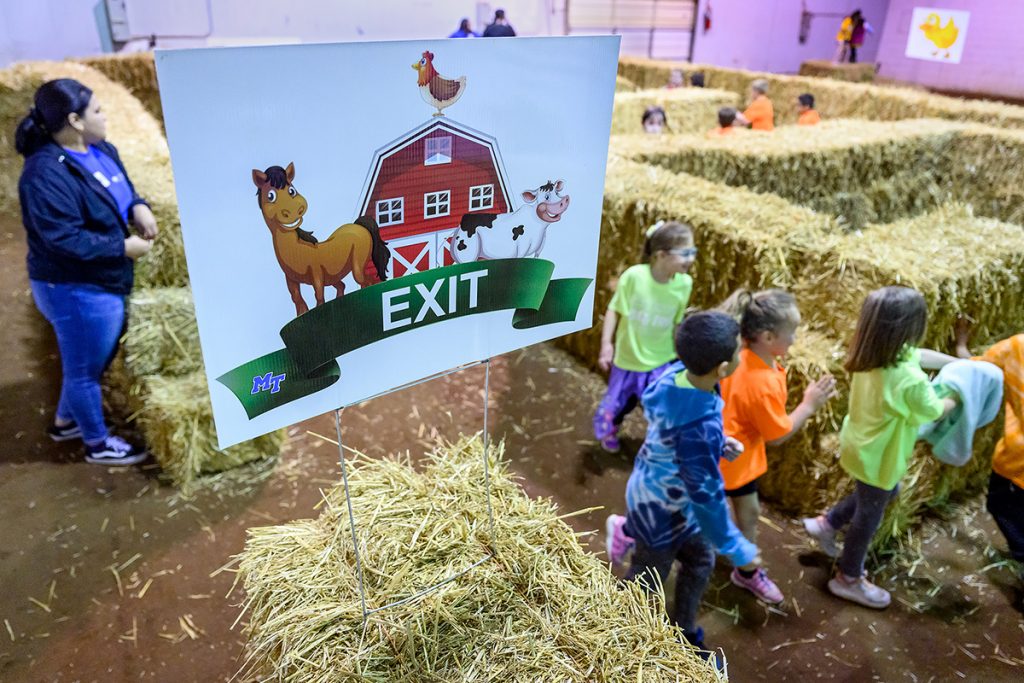Area elementary school children enjoy an “amazing” experience in a maze made out of hay bales Tuesday, April 12, during the Ag Ed Spring Fling at the MTSU Tennessee Livestock Center. Youngsters learned about life on a farm and all agriculture has to offer. (MTSU photo by J. Intintoli)