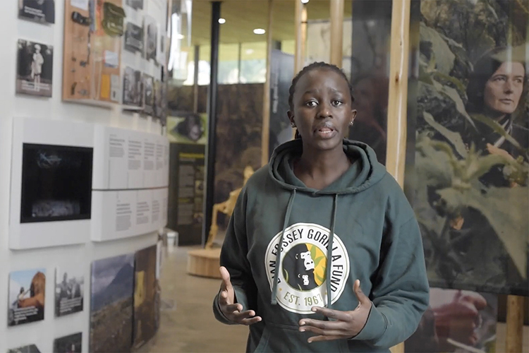 In this screen capture from a virtual tour video, Kadiara King’ai, conservation gallery manager at the Ellen DeGeneres Campus of the Dian Fossey Gorilla Fund in Rwanda, discusses the displays featured inside the campus’s Cindy Broder Conservation Gallery. (Courtesy of YouTube)