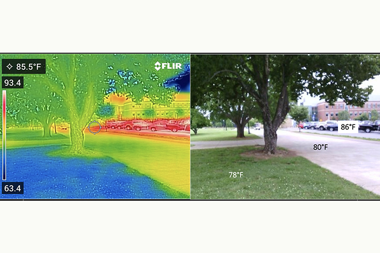 Middle Tennessee State University faculty Alisa Hass and Adelle Monteblanco took images of campus with a FLIR thermal imaging camera and conventional camera to demonstrate the impact of the environment — such as grass versus parked cars — on heat. (Photo courtesy of Alisa Hass)
