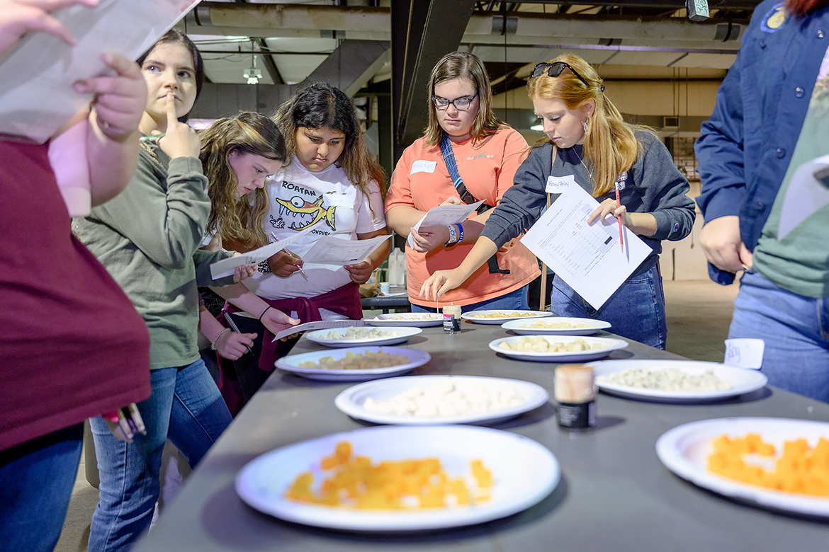 A fermentation science activity tests high school students’ knowledge with cheese-tasting in the Tennessee Livestock Center. The students from East, Middle and West Tennessee visited campus Sept. 21 for the fifth annual Raider Roundup, which was sponsored by MT Engage and hosted by Collegiate FFA.. (MTSU photo by J. Intintoli)