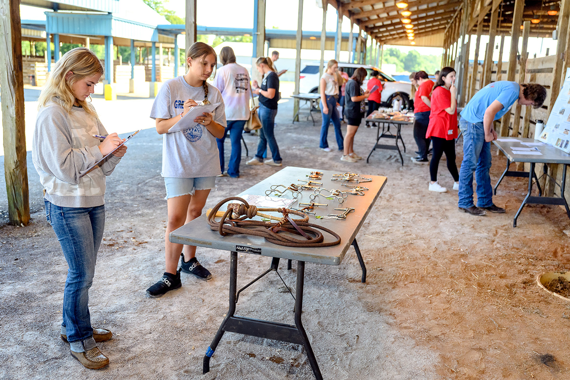 annual Raider Roundup Sept. 21 outside the Tennessee Livestock Center. The event was sponsored by MT Engage and hosted by MTSU Collegiate FFA. (MTSU photo by J. Intintoli)