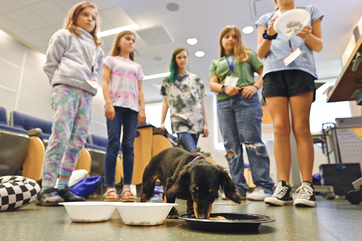 Sunny, a Dachshund owned by the Kevin Ragland family, takes his time sampling a variety of food, as middle school girls learn about pet nutrition during the 26th annual Tennessee Girls in STEM math and science conference at MTSU on Sept. 24. Middle school and high school girls learn about science, technology, engineering and math during the all-day event on campus. (MTSU photo by Cat Curtis Murphy)