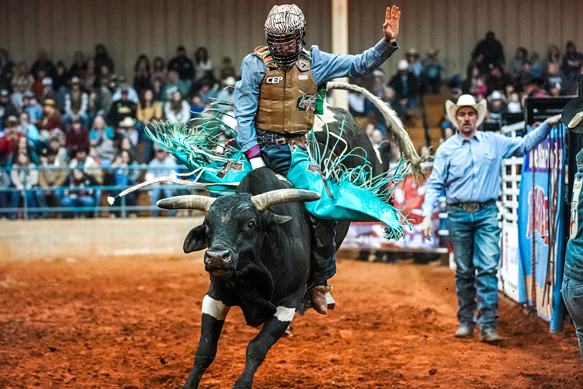 A competitor stays atop the bull during a Lone Star Rodeo event. The Lone Star circuit comes to Murfreesboro for 7 p.m. shows Friday and Saturday, March 3-4, in MTSU's Tennessee Miller Coliseum. (Photo by Haley Johnson Photography)
