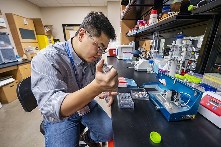 Mike Zhang, Middle Tennessee State University assistant professor and researcher, works in his lab on one of his three concurrent chemistry research projects on Feb. 9, 2023, at the Science Building on campus. (MTSU file photo by Andy Heidt)