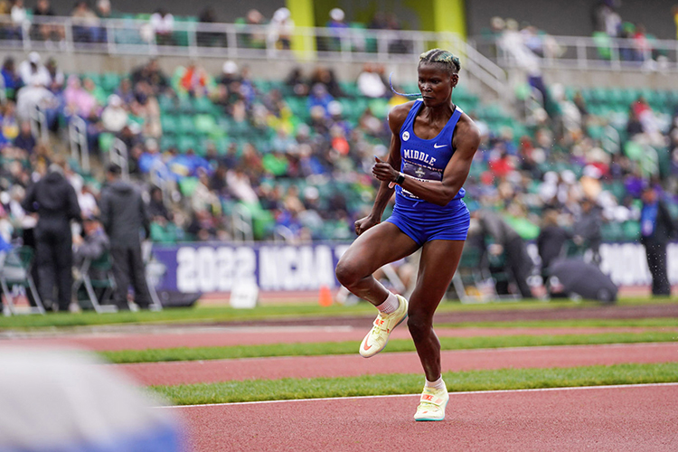 Abigail Kwarteng, recent graduate from Middle Tennessee State University and Olympic hopeful, readies for an attempt at her final NCAA track-and-field competition at Hayward Field track at the University of Oregon in Eugene, Ore., in the summer of 2022. (MTSU file photo by MTSU Athletics)