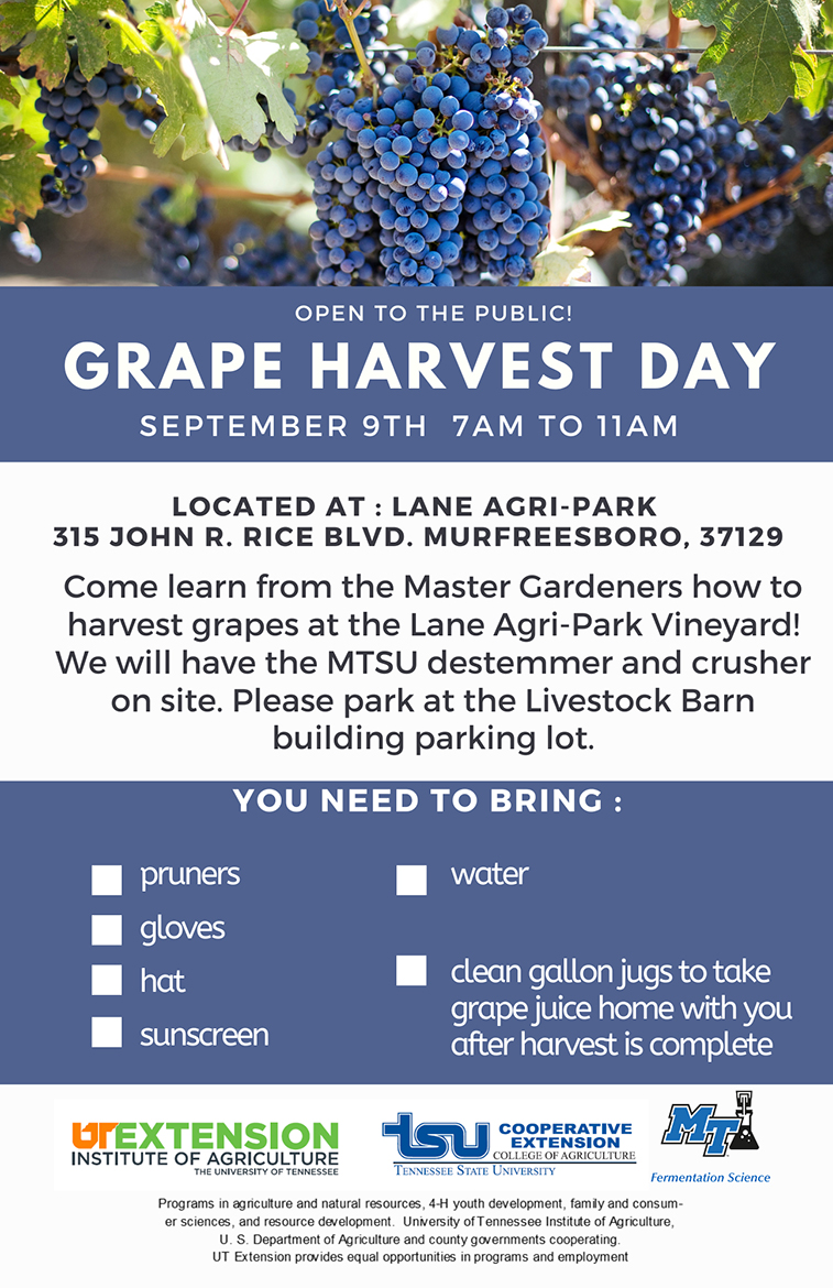 2023 Grape Harvest Day (Sept. 9) flyer graphic