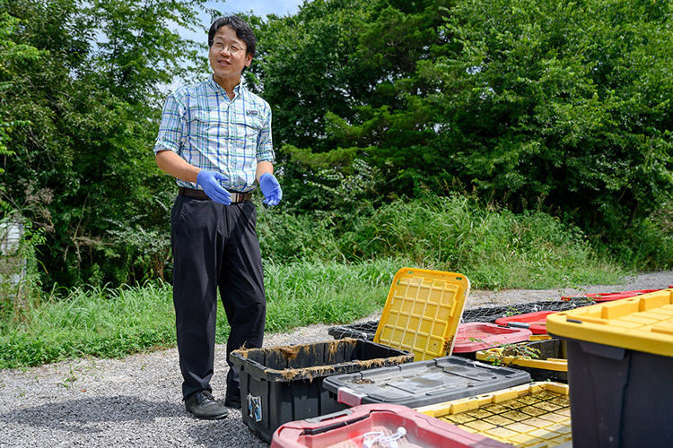 Middle Tennessee State University biology professor Yangseung Jeong examines bones of decaying animal specimens at the MTSU Outdoor Forensic Facility, or MOFF. The outdoor lab provides students with hands-on experience in search and recovery. (MTSU photo by J. Intintoli)