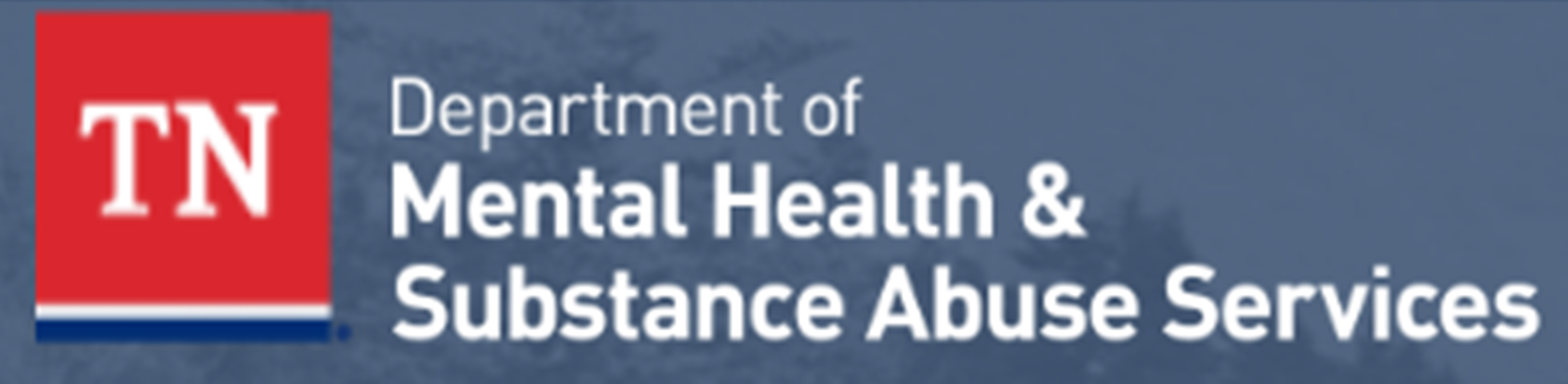 Tennessee Department of Mental Health and Substance Abuse Services