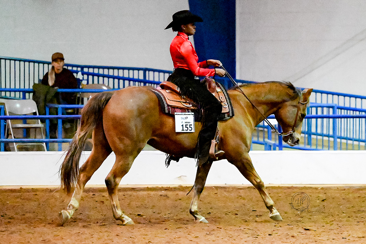 Riding a horse named Taz, Sadio Barnes, a senior horse science major from Miami, Fla., competes during the Intercollegiate Horse Shows Association Western Semi-Finals March 22-23 at the Tennessee Livestock Center in Murfreesboro, Tenn. She earned Reserve Champion, Team Rookie Horsemanship honors. (Submitted photo by Hanna Price Photography)