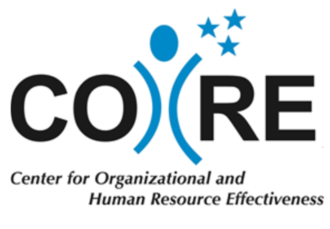 COHRE LOGO