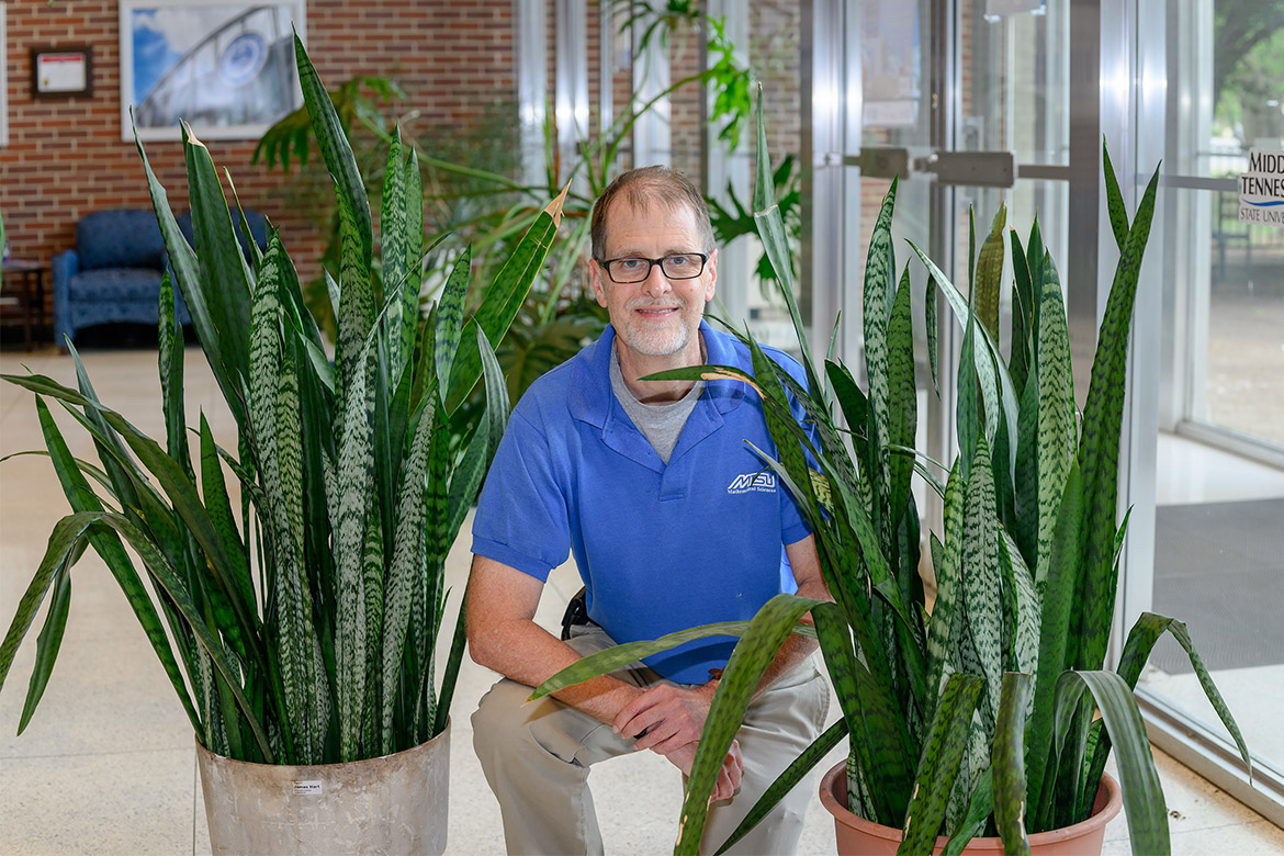 Middle Tennessee State University math professor James Hart kneels between two mother-in-law tongue plants that descended from one that was owned by his grandmother and likely date back to World War II. They are now temporarily on display in Cope Administration Building on campus in Murfreesboro, Tenn., while renovations are underway at Kirksey Old Main, where Hart’s office was located. (MTSU photo by J. Intintoli)