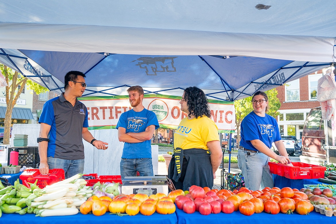 Middle Tennessee State University professor Song Cui, left, and MTSU Small Farm students Tyler Lansford, Harlan “Dallas” Rogers and Hannah Harrell prepare to greet customers wanting tomatoes, okra and other certified organic produce being sold Oct. 12 at the Murfreesboro Saturday Market at the Rutherford County Courthouse in downtown Murfreesboro, Tenn. (MTSU photo by Cat Curtis Murphy)