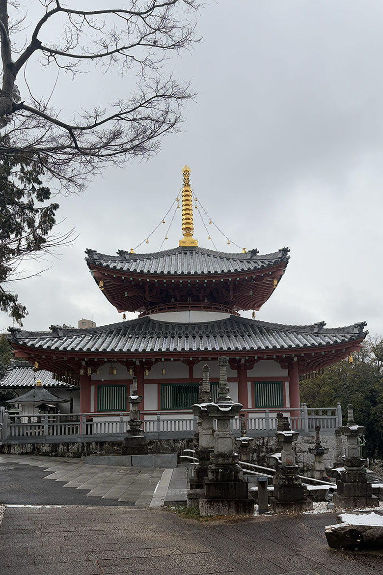 Middle Tennessee State University Japanese major Jordyn Caudle, of Nashville, Tenn., was chosen by the Japan Ministry of Foreign Affairs to participate in the prestigious 2025 Kakehashi Project in February. For eight days, Caudle and his cohort toured Japanese gardens, museums, universities, historical sites and even attended a traditional tea ceremony. (Submitted)