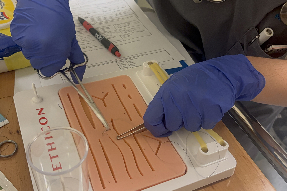 Samantha Freda, a first-year Physician Assistant Studies student at Middle Tennessee State University in Murfreesboro, Tenn., uses a practice suture pad to simulate sewing up a head wound of a patient-actor during a mock mass casualty simulation held in July inside Cason-Kennedy Nursing Building on campus. The test training mimics a real-world situation, using actors and high-fidelity patient mannequins to give students hands-on training before starting a year of clinical rotations in the second year of the 27-month program. (MTSU photo by Nancy DeGennaro)