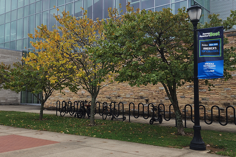 An Easter redbud is located in front of the Science Building on the campus of Middle Tennessee State University in Murfreesboro, Tenn. This species of tree will be available to purchase as part of the Green Interchange "Plant a Bigger Tree" initiative. (MTSU file photo)
