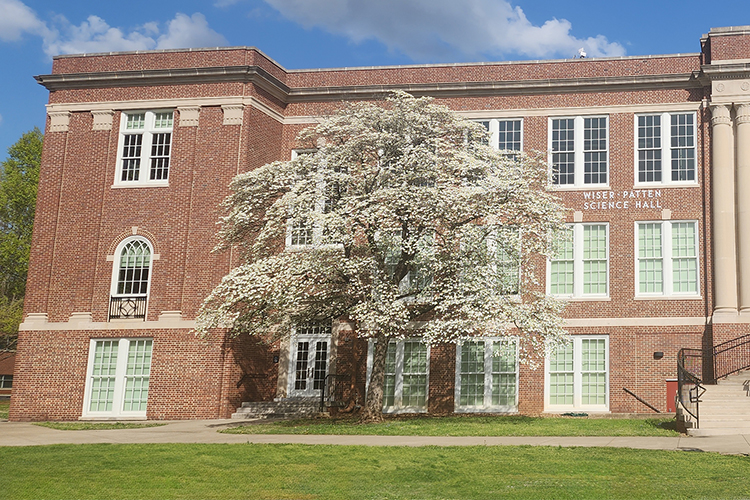 A flowering dogwood is located in front of Wiser-Patten Science Building on the campus of Middle Tennessee State University in Murfreesboro, Tenn. This species of tree will be available to purchase as part of the Green Interchange "Plant a Bigger Tree" initiative. (MTSU file photo)