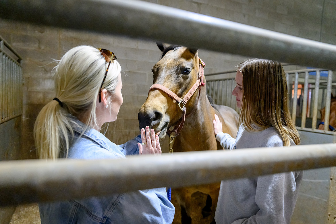 Emily Jensen, right, a Marine Corps veteran from Spring Hill, Tenn., and Middle Tennessee State University horse science major Lauren Mabry from Nolensville, Tenn., work with Jetta, a 24-year-old horse that is part of the herd at the Middle Tennessee State University Horse Science Center in Murfreesboro, Tenn. Jensen is a participant in the MTSU Center for Equine Recovery for Veterans, better known as CERV, and Mabry is a student in the equine therapy course that is made possible through MTSU’s partnership with the VA Tennessee Valley Healthcare System to help veterans in their recovery journeys. (MTSU photo by J. Intintoli)
