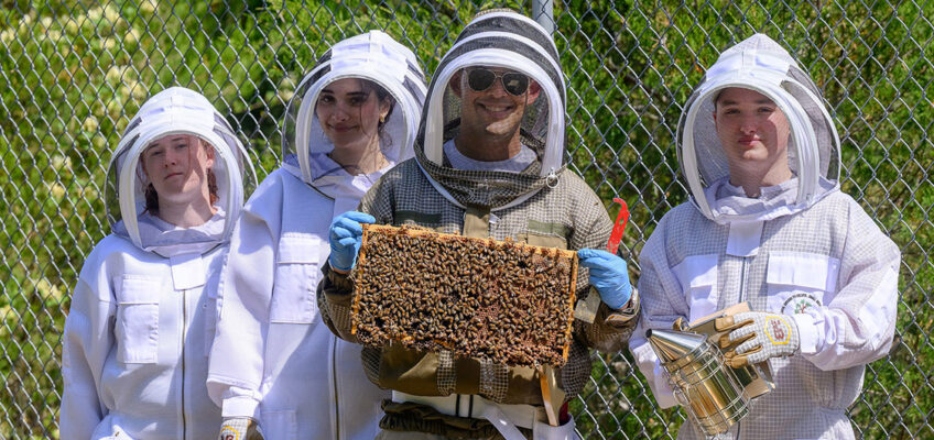 Manuel Giannoni-Guzmán, assistant professor of biology at Middle Tennessee State University in Murfreesboro, Tenn., holds up a beehive frame laden with honeybees at his outdoor lab located on the MTSU Small Farm facility in Lascassas, Tenn. Researchers on site at the MTSU Bee Lab are, from left, Mckenna Layman, a biochemistry major from Kodak, Tenn.; alumna Noor Obeissy, a 2025 biology graduate from Murfreesboro; Giannoni-Guzmán; and Collin Clark, a graduate student from Mt. Juliet, Tenn. (MTSU photo by J. Intintoli)