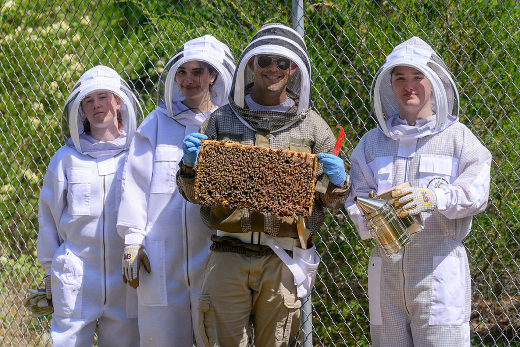 Manuel Giannoni-Guzmán, assistant professor of biology at Middle Tennessee State University in Murfreesboro, Tenn., holds up a beehive frame laden with honeybees at his outdoor lab located on the MTSU Small Farm facility in Lascassas, Tenn. Researchers on site at the MTSU Bee Lab are, from left, Mckenna Layman, a biochemistry major from Kodak, Tenn.; alumna Noor Obeissy, a 2025 biology graduate from Murfreesboro; Giannoni-Guzmán; and Collin Clark, a graduate student from Mt. Juliet, Tenn. (MTSU photo by J. Intintoli)
