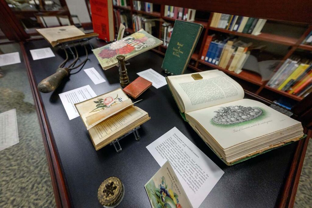 Gardening items, including a hand rake and decorative instructional books on the subject, are on display as part of the “Creating Home: Domesticity and the Role of Women” exhibit at Special Collections in James E. Walker Library at Middle Tennessee State University in Murfreesboro, Tenn. (MTSU photo by Andy Heidt)